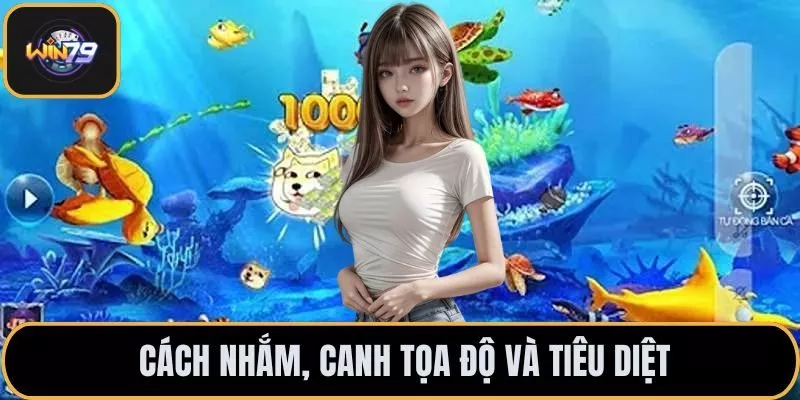 Cách nhắm, canh tọa độ và tiêu diệt