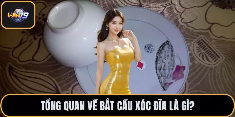 Tổng quan về bắt cầu xóc đĩa là gì?